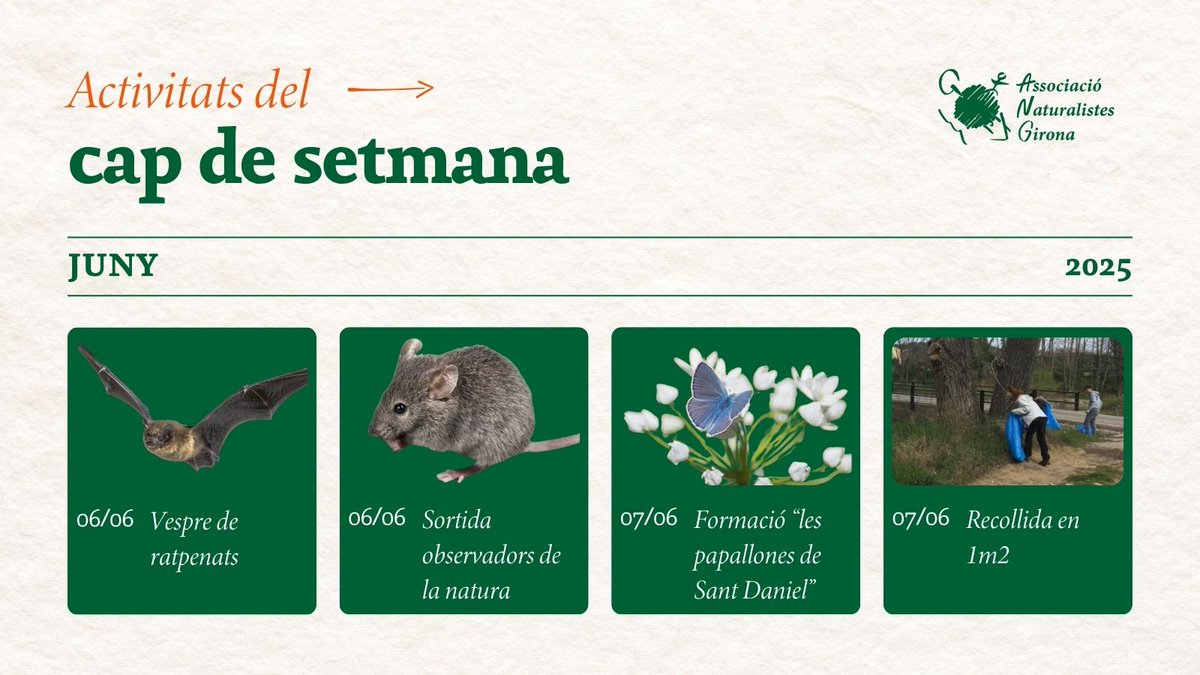 Estas buscant activitats per fer aquest cap de setmana?⬇️ Apunta-t'hi!