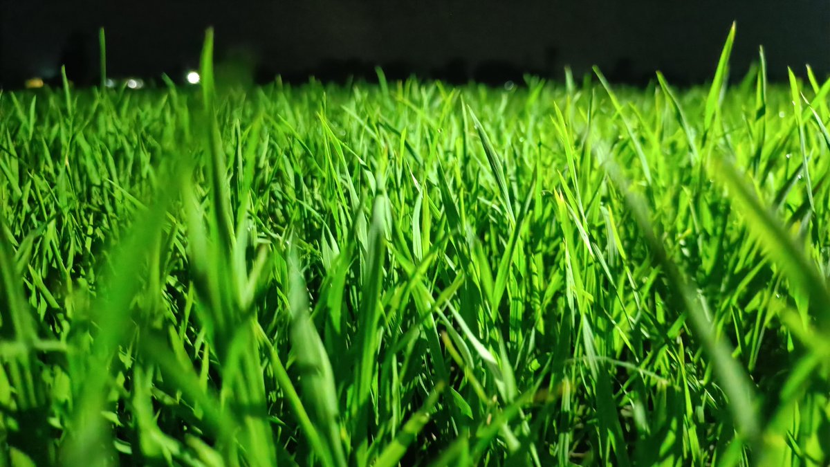 छत टपकती है उसके कच्चे घर की,
फिर भी वो किसान करता हैं दुआ बारिश की।