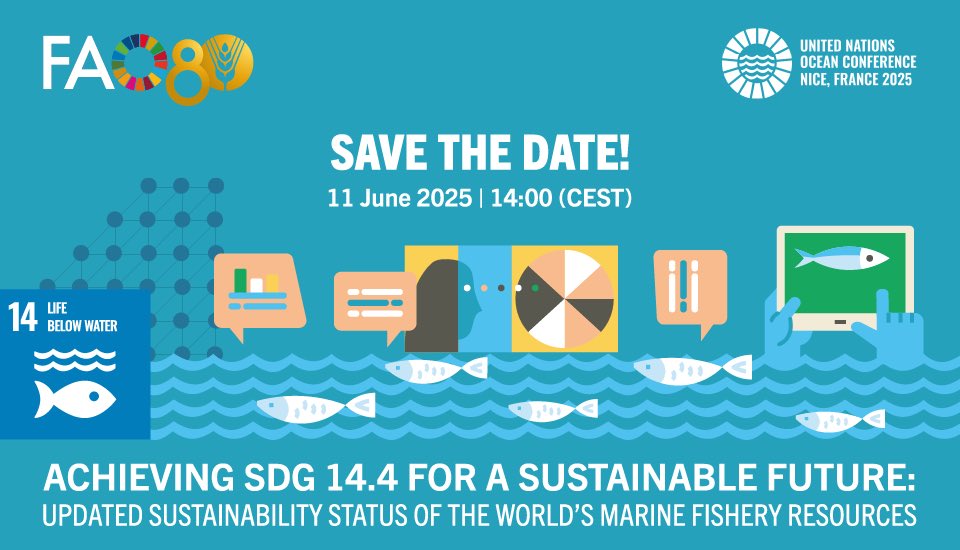 Nicolas Gutierrez (@nico_gutie) on Twitter photo Attending UNOC3 in Nice? don’t miss the launch of 2025 <a href="/FAOfish/">Fisheries & Aquaculture</a> Review of World Marine Fishery Resources Report in the Blue Zone:
- 3 years in the making
- 650 experts
- 200 organisations
- 92 counties
- more than 2,500 fish stocks
#UNOC3 #UNOC2025 Attending UNOC3 in Nice? don’t miss the launch of 2025 <a href="/FAOfish/">Fisheries & Aquaculture</a> Review of World Marine Fishery Resources Report in the Blue Zone:
- 3 years in the making
- 650 experts
- 200 organisations
- 92 counties
- more than 2,500 fish stocks
#UNOC3 #UNOC2025