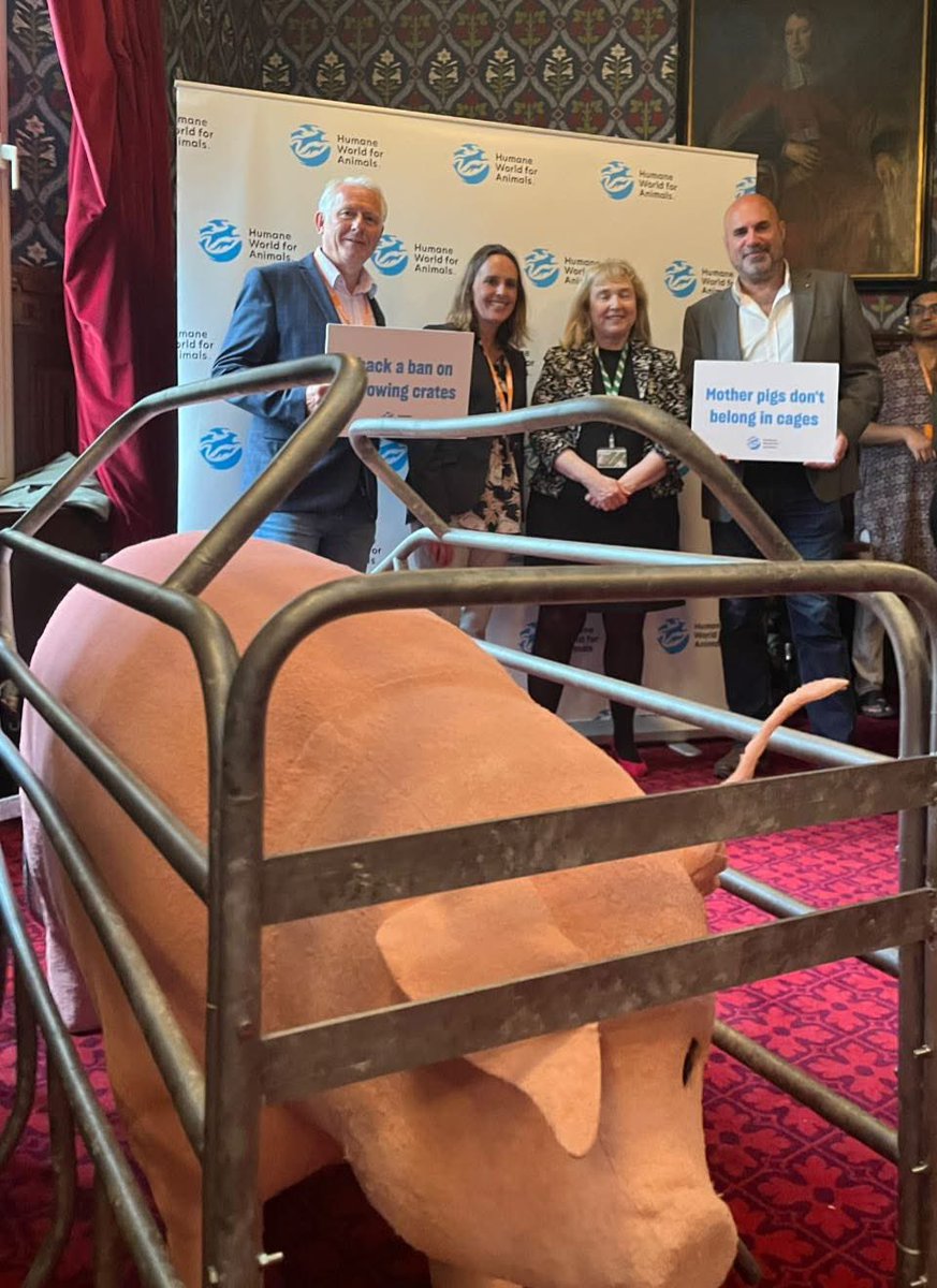 Nicholas Taylor (@nicktaylorllb) on Twitter photo It was a privilege to attend yesterday’s House of Commons drop-in at <a href="/UKParliament/">UK Parliament</a> hosted by <a href="/lucydahlia/">Irene Campbell MP</a> & <a href="/ClaireHWAnimals/">Claire Bass</a> . Supporting a future free from farrowing crates for mother pigs is not only a matter of animal welfare, but a reflection of the compassion and progress we It was a privilege to attend yesterday’s House of Commons drop-in at <a href="/UKParliament/">UK Parliament</a> hosted by <a href="/lucydahlia/">Irene Campbell MP</a> & <a href="/ClaireHWAnimals/">Claire Bass</a> . Supporting a future free from farrowing crates for mother pigs is not only a matter of animal welfare, but a reflection of the compassion and progress we