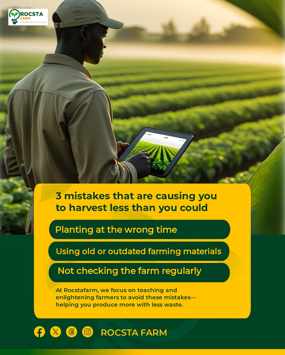 Rocsta_farm's tweet photo. Without proper management, good yields are just a dream.
#SmartFarming #FarmWithPurpose #SustainableYield #BetterFarming #AgriWisdom #FarmManagement
#GrowWithCare #ROCSTAFarm #ExploreNaturesRiches #FromSoilToSuccess
@RightCohen @Samsonprolific @EnyonamManye https://t.co/T4jBHNYcBQ
