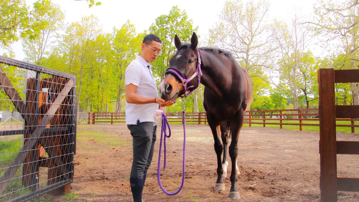 ゴールデンシックスティとヴィンセント・ホー騎手の感動の再会に立ち会えました　短編1

#ゴールデンシックスティ #何澤堯 #ノーザンホースパーク #ヴィンセント・ホー　#VincentHo #JockeyVincentHo #GoldenSixty　#金鎗六十