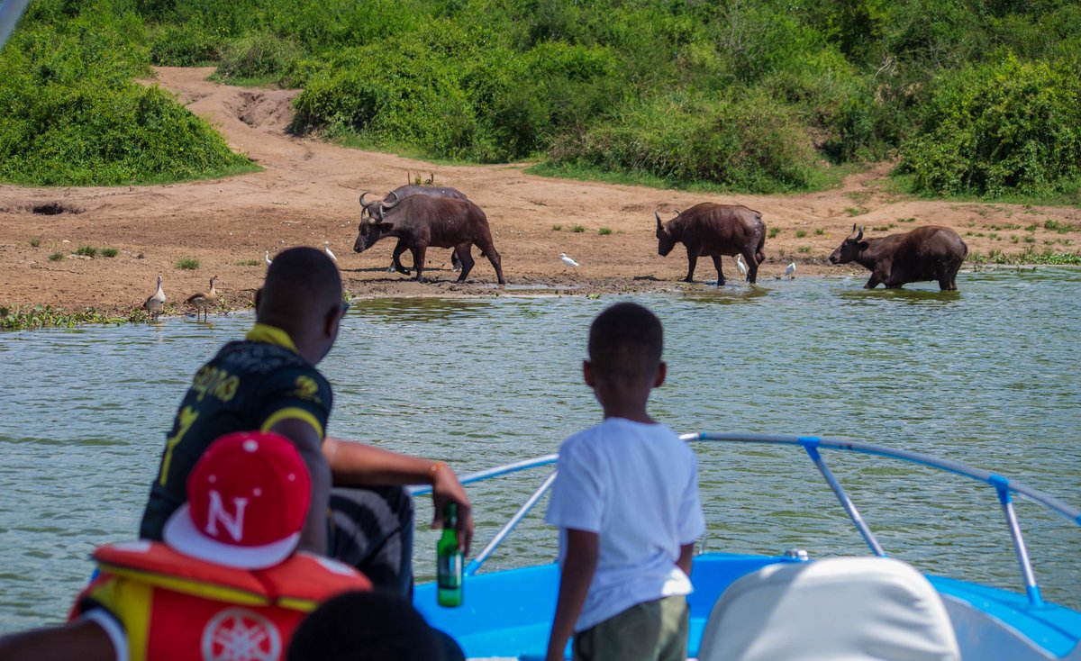 Blue Adventure Safari tweet media