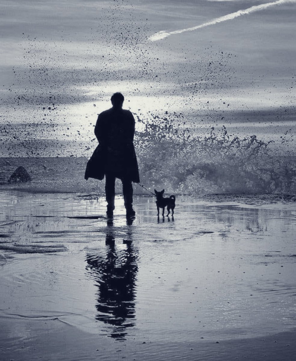 الجسد تخلّى عن الزمن، والوعي تاه بين الصور.
ننهار دون أن نتهيّأ، لأن التحضير وهم ما بعد حداثي.