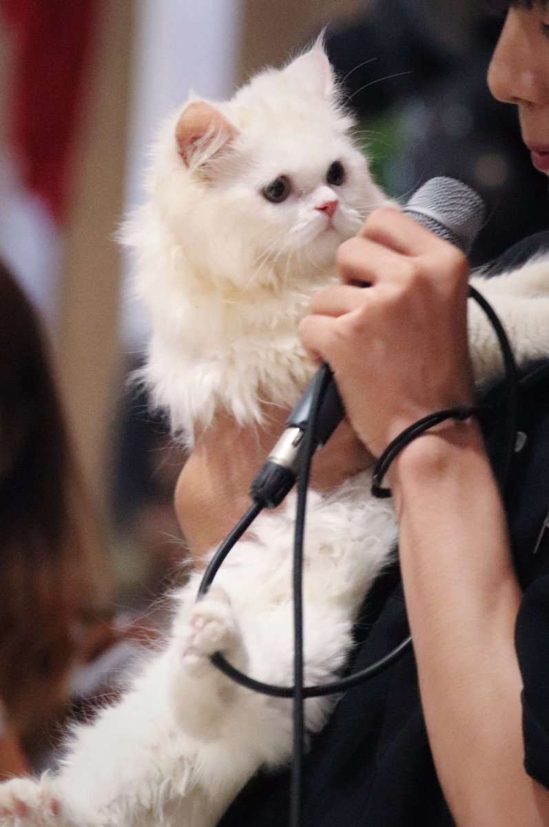 04062025 | #MEWTNP 

ใครคิดว่าโมจิสีเหลือง
ก็สีเหลืองแหละ แต่อย่าไปคิด 🤣

PRE BIRTHDAY WITH PALM 
#happyPALMday 
#PALM_PERSES 
#โมจิของต้นปาล์ม #PERSES_TH