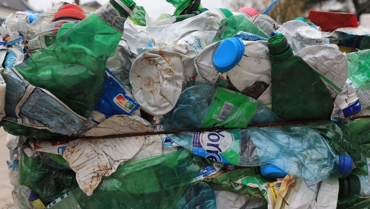 CARTE - Déchets : quels sont les départements de Nouvelle-Aquitaine qui recyclent le plus ?
➡️ l.ici.fr/zAO