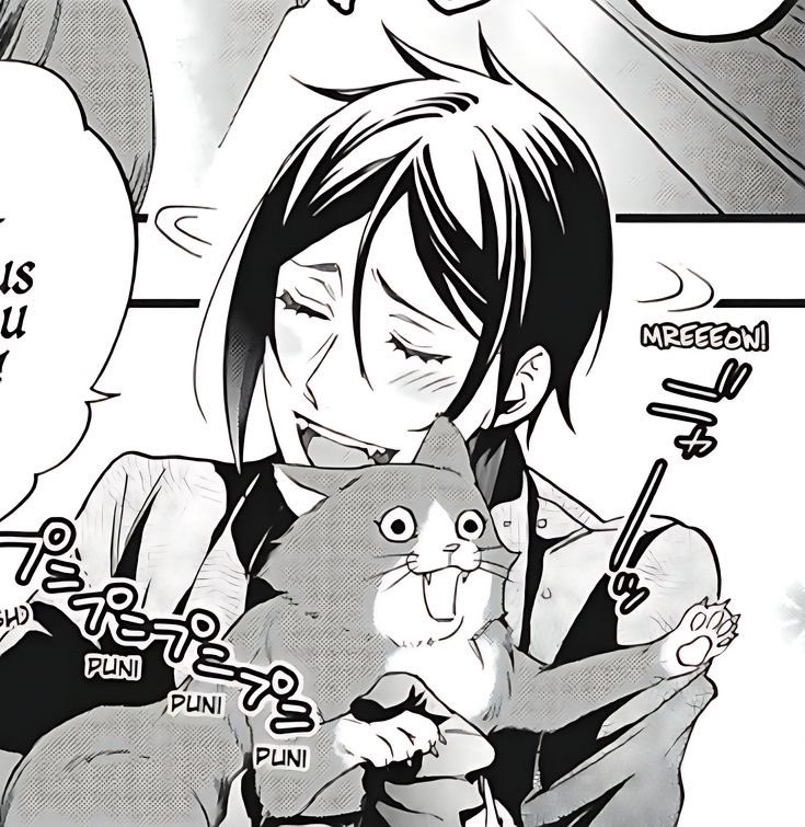 it’s national hug your cat day!!