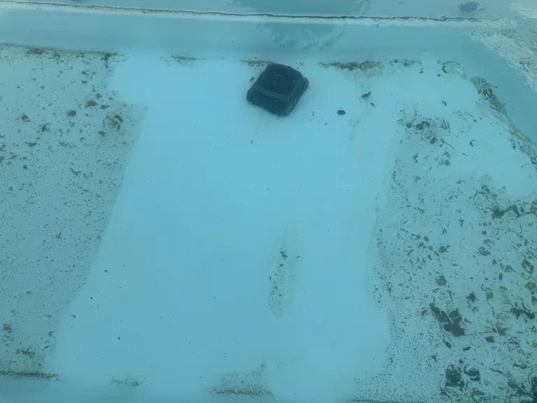 🏖️ Marre de passer l’épuisette ?
J’ai testé le robot de piscine Aiper Scuba X1 : il plonge, il nettoie (et il fait ça bien comme tu peux le voir), et toi tu chilles.
➡️ gohanblog.fr/test-du-robot-…
