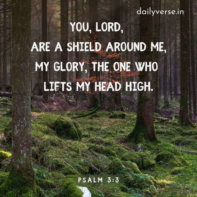 More Bible Verses: 
dailyverse.in