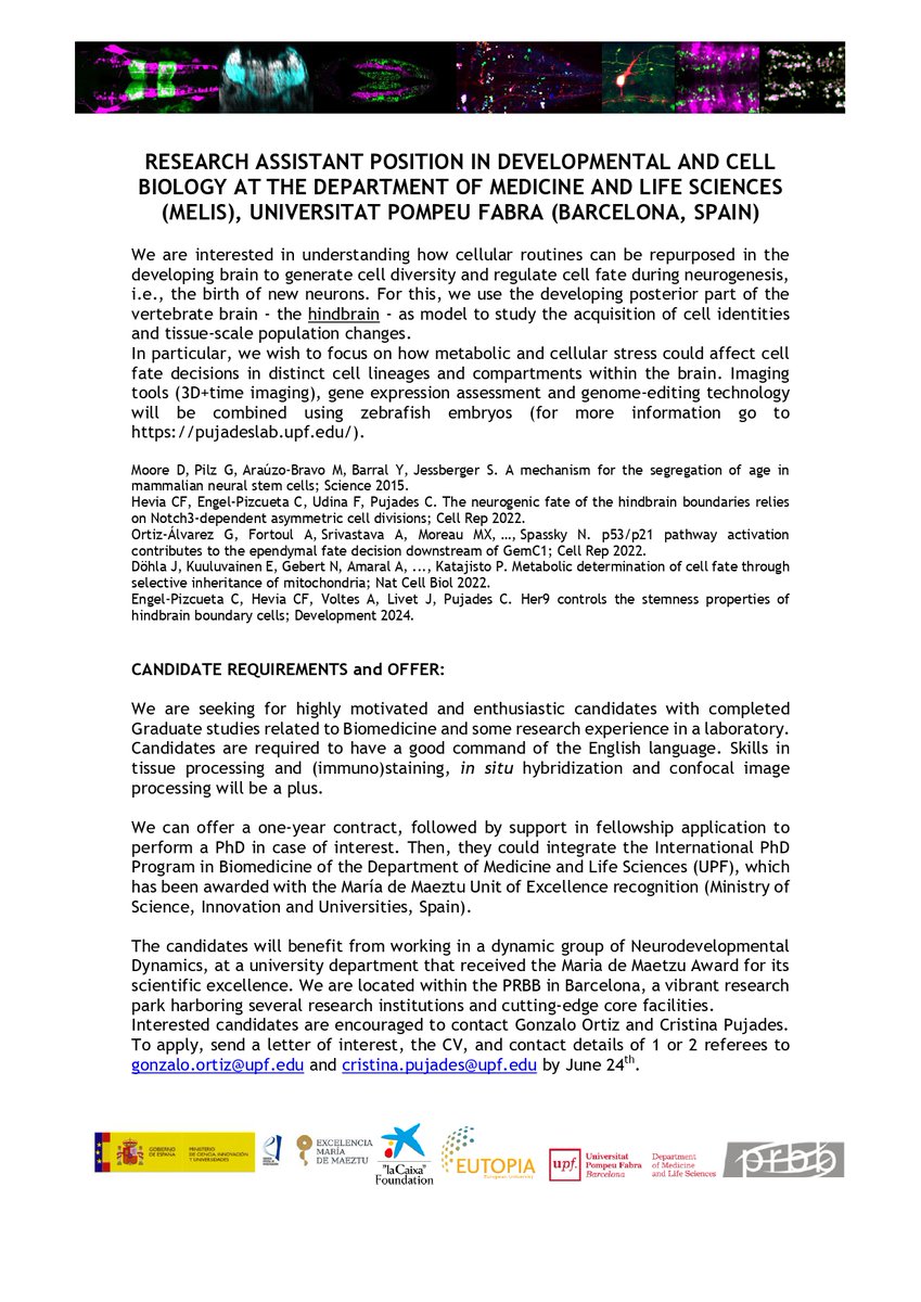 LydvinaB's tweet image. Are you passionate about neuroscience and developmental biology? 🧠🐟
Join an exciting project on neural development in zebrafish with Gonzalo, an amazing and supportive mentor, can’t recommend him enough!
#Neuroscience #Zebrafish #DevelopmentalBiology #PhDposition #PRBB #UPF