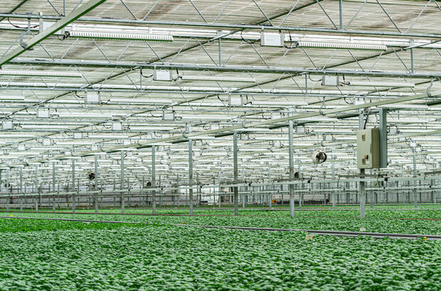 Be Central Beds (@becentralbeds) on Twitter photo #Farmers, #growers and #agricultural enterprises can apply for a share of up to £5m to develop innovative farming solutions.
Registration closes on 2 July 2025 > ow.ly/y6Br50W494m
<a href="/letstalkcentral/">Central Bedfordshire Council</a> <a href="/BizBeds/">Business2Business</a> <a href="/DefraGovUK/">Defra UK</a> <a href="/innovateuk/">Innovate UK</a> <a href="/NFUtweets/">National Farmers' Union</a> <a href="/CLAtweets/">Country Land & Business Assn</a>
#Funding #Competition #Farmers, #growers and #agricultural enterprises can apply for a share of up to £5m to develop innovative farming solutions.
Registration closes on 2 July 2025 > ow.ly/y6Br50W494m
<a href="/letstalkcentral/">Central Bedfordshire Council</a> <a href="/BizBeds/">Business2Business</a> <a href="/DefraGovUK/">Defra UK</a> <a href="/innovateuk/">Innovate UK</a> <a href="/NFUtweets/">National Farmers' Union</a> <a href="/CLAtweets/">Country Land & Business Assn</a>
#Funding #Competition