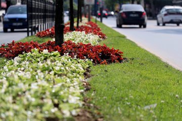 Sakarya’nın Sokaklarına Güzellik Katan Bayram Dokunuşu