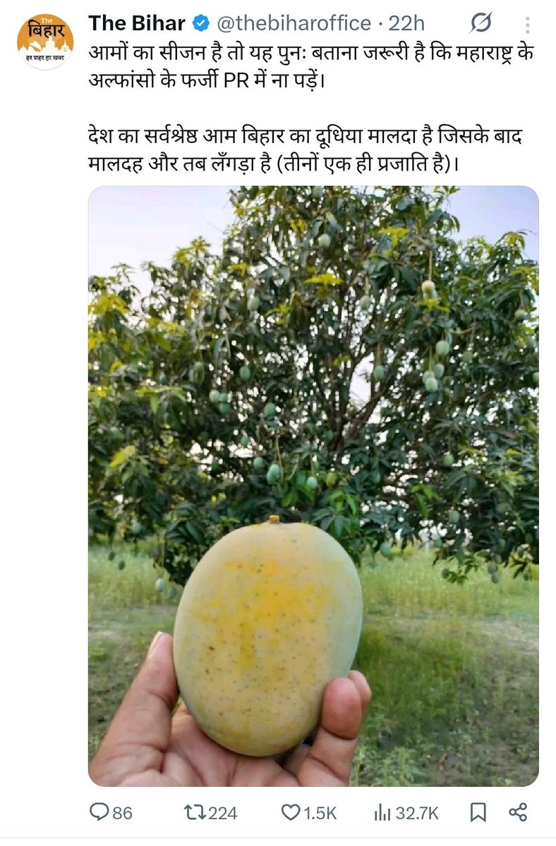 PMishra_Journo's tweet image. एक आम पोस्ट : 
 मैं भी सहमत हूं कि देश का सर्वश्रेष्ठ #आम बिहार का दूधिया मालदा है जिसके बाद मालदह और तब लँगड़ा है (तीनों एक ही प्रजाति है)। अल्फांसो ओवर रेटेड है! 
#MangoMan