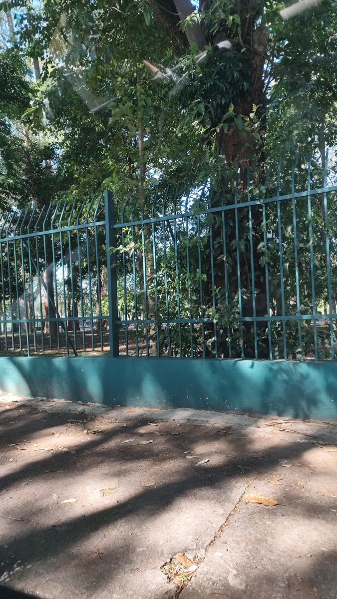 Chegando com os refri