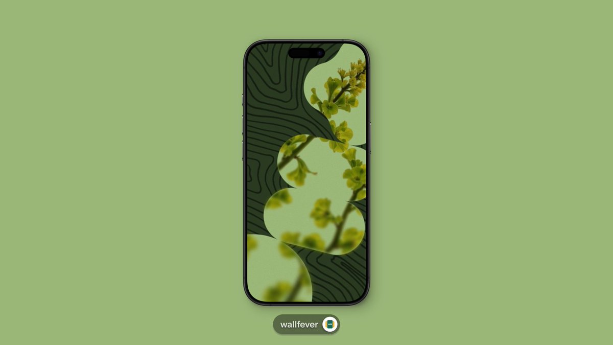Wallfever tweet media
