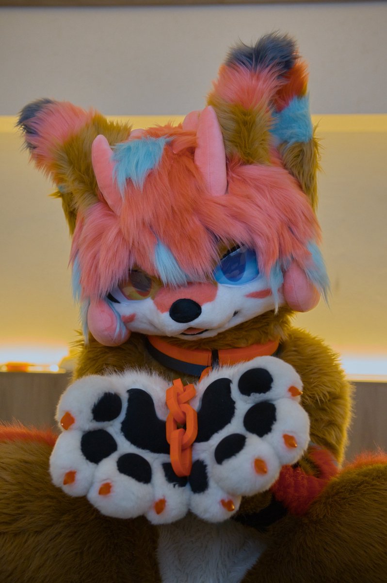 Grab and tug me to your bed 
📷: <a href="/sfanzai42/">sfanzai42</a> 
#FursuitEverday