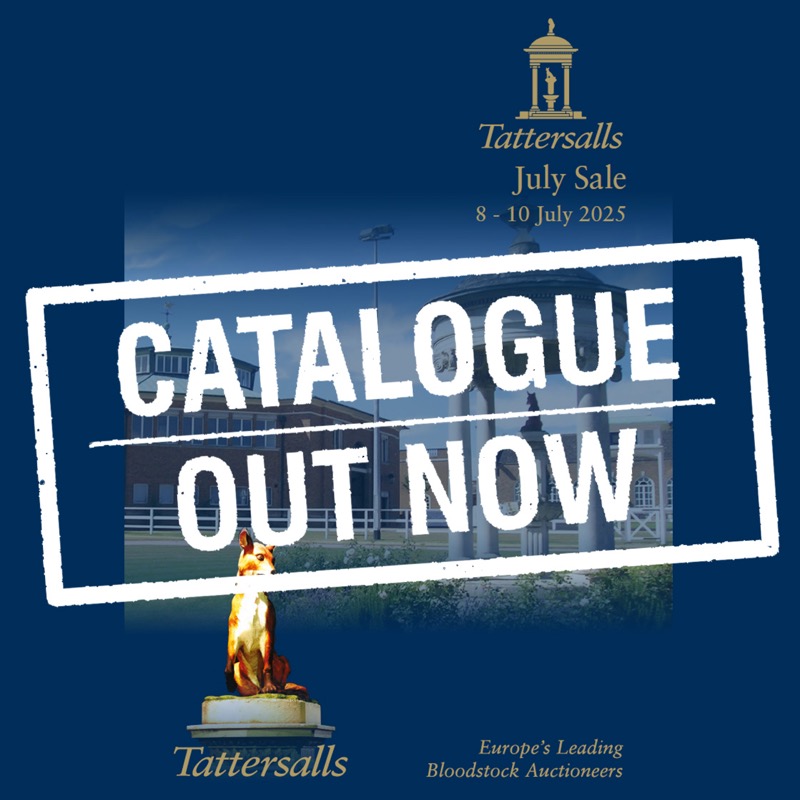 Le catalogue de la #TattsJuly Sale est en ligne
931 lots - 📅 Du 8 au 10 Juillet 

<a href="/godolphin/">Godolphin</a> <a href="/JuddmonteFarms/">Juddmonte</a> <a href="/Shadwell_EU/">SHADWELL</a>

⚠️ La mère de CAMILLE PISSARO a été achetée à cette vente!

➡️➡️tattersalls.com/news/tattersal…