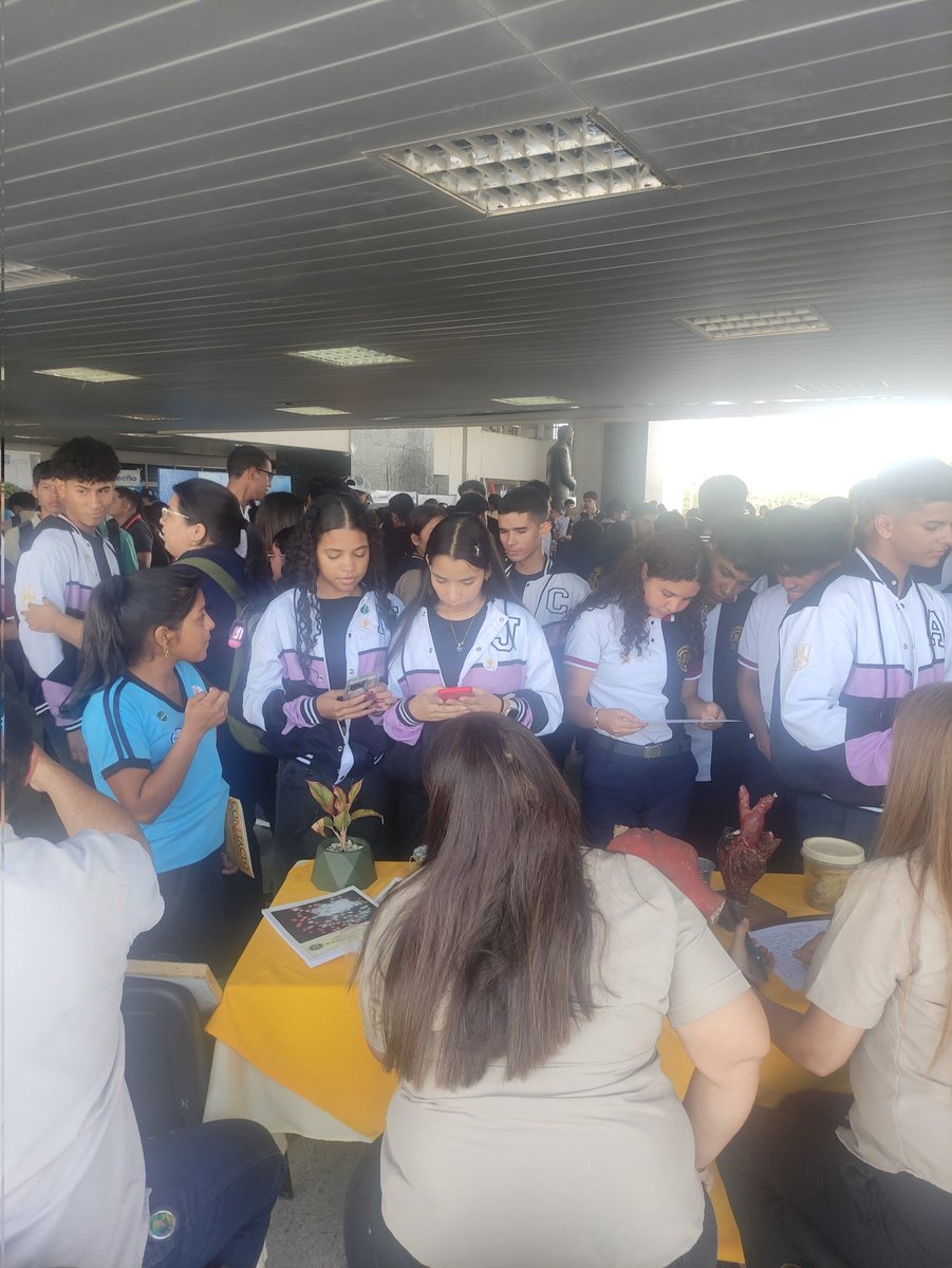 Juventud, divino tesoro!