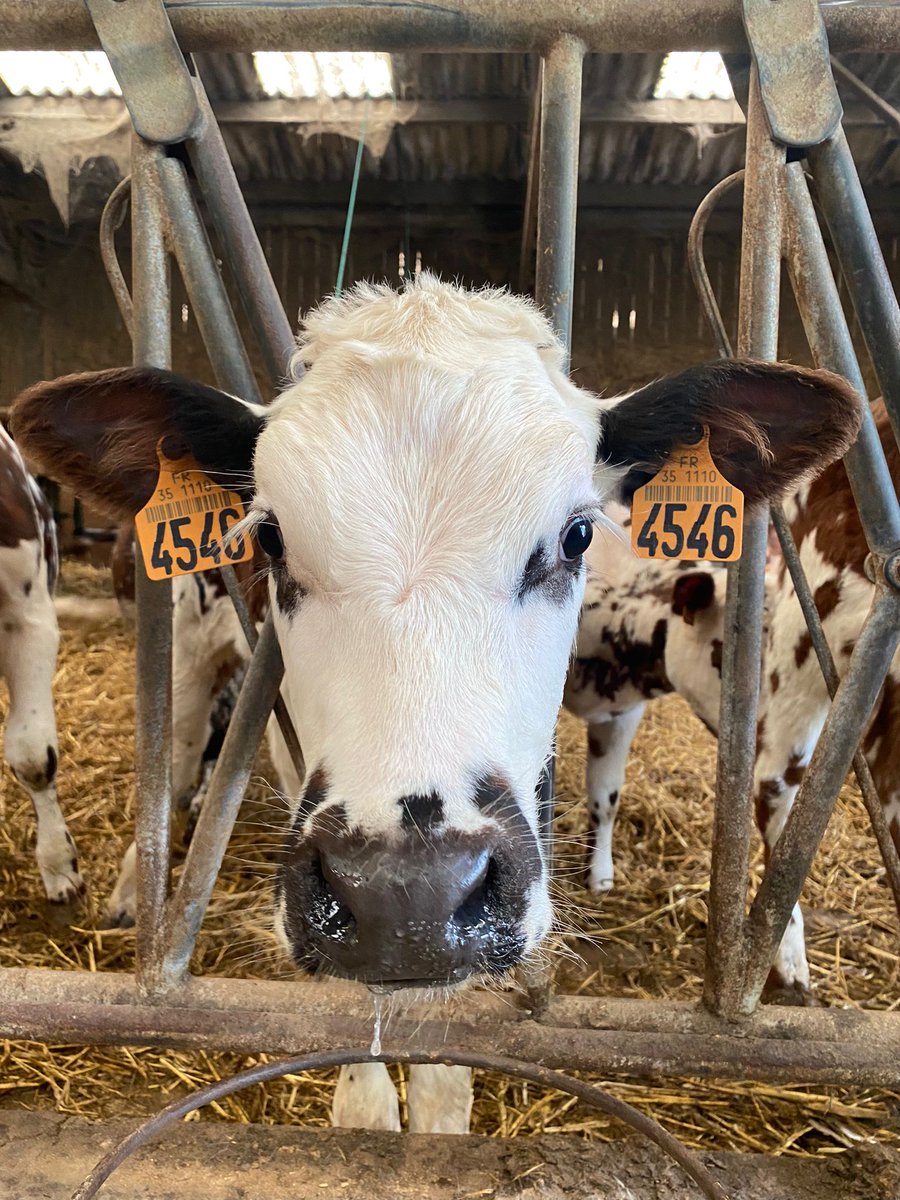 SNIA Nutrition des Animaux tweet media