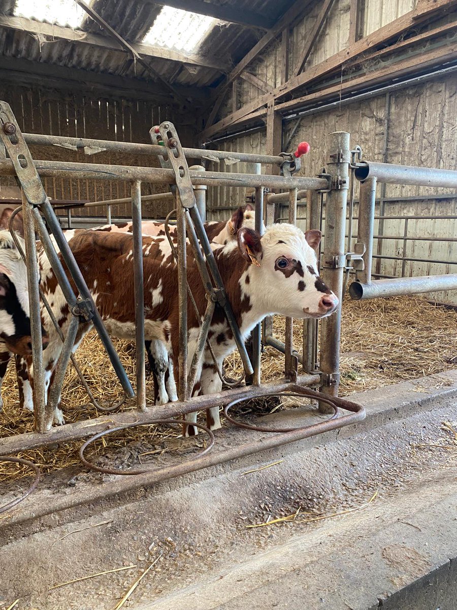 SNIA Nutrition des Animaux tweet media