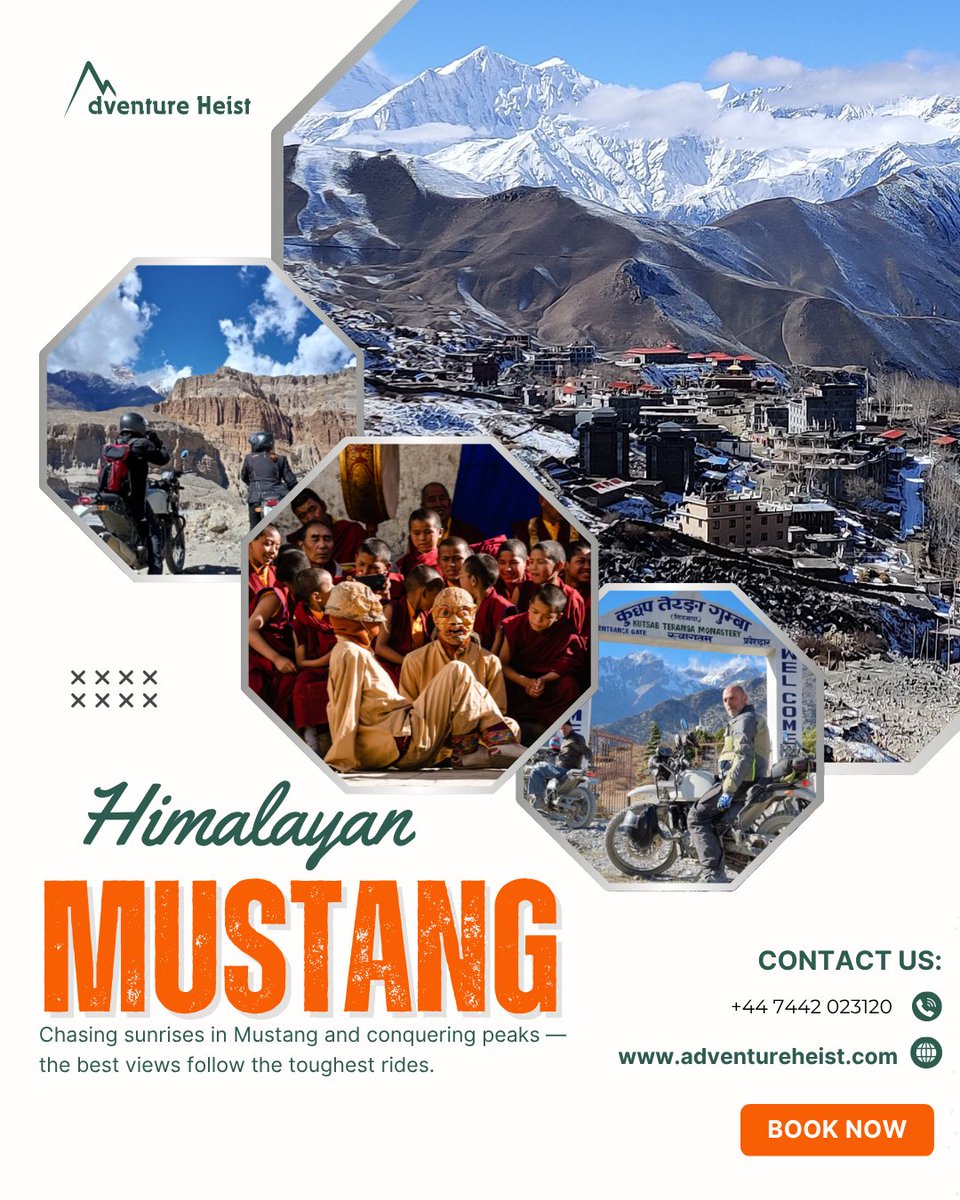AdventureHeist_'s tweet photo. Ride through ancient Himalayan trails — from misty Annapurna views to sacred monasteries, yak herders, apple wine, hot springs &amp; the world’s highest golf course at 4,700m
#UpperMustang #RideNepal #ExploreNepal #AdventureCulture #GermanyTravel #FranceVoyage #UKTravel #USAExplore https://t.co/eX7M8OF4xP