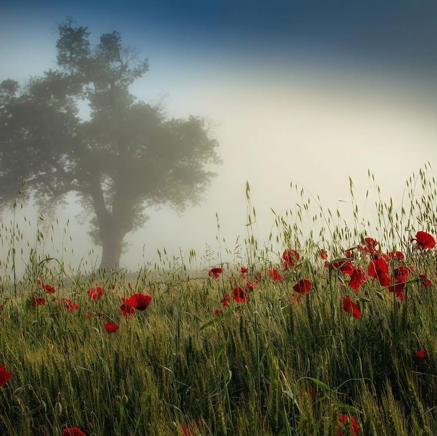 Unter Bäumen saszen wir
und schwiegen unter Bäumen
ich allein und schweigend ohne dich 
unter Bäumen du allein
und schweigend ohne mich

Friederike Mayröcker
aus: Sämtliche Gedichte
20.12.1924 - 4.06.2021