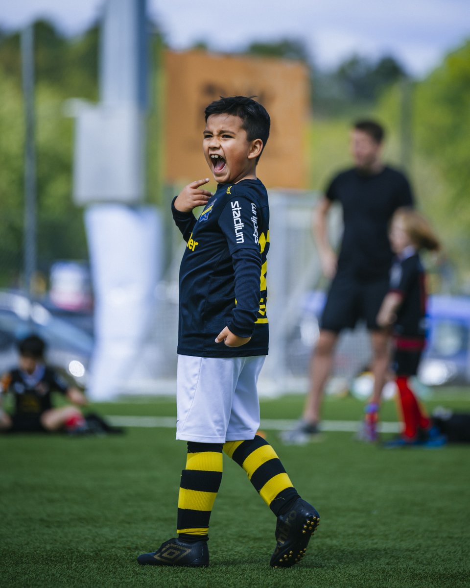 ☀️ Om knappt två veckor inleds årets första sommarcamper för flickor och pojkar födda mellan 2013-2018.

Missa inte att det fortfarande finns några platser kvar i varje årskull. Se därför till att skicka in er anmälan direkt via: AIKungdomsfotboll.se/camper