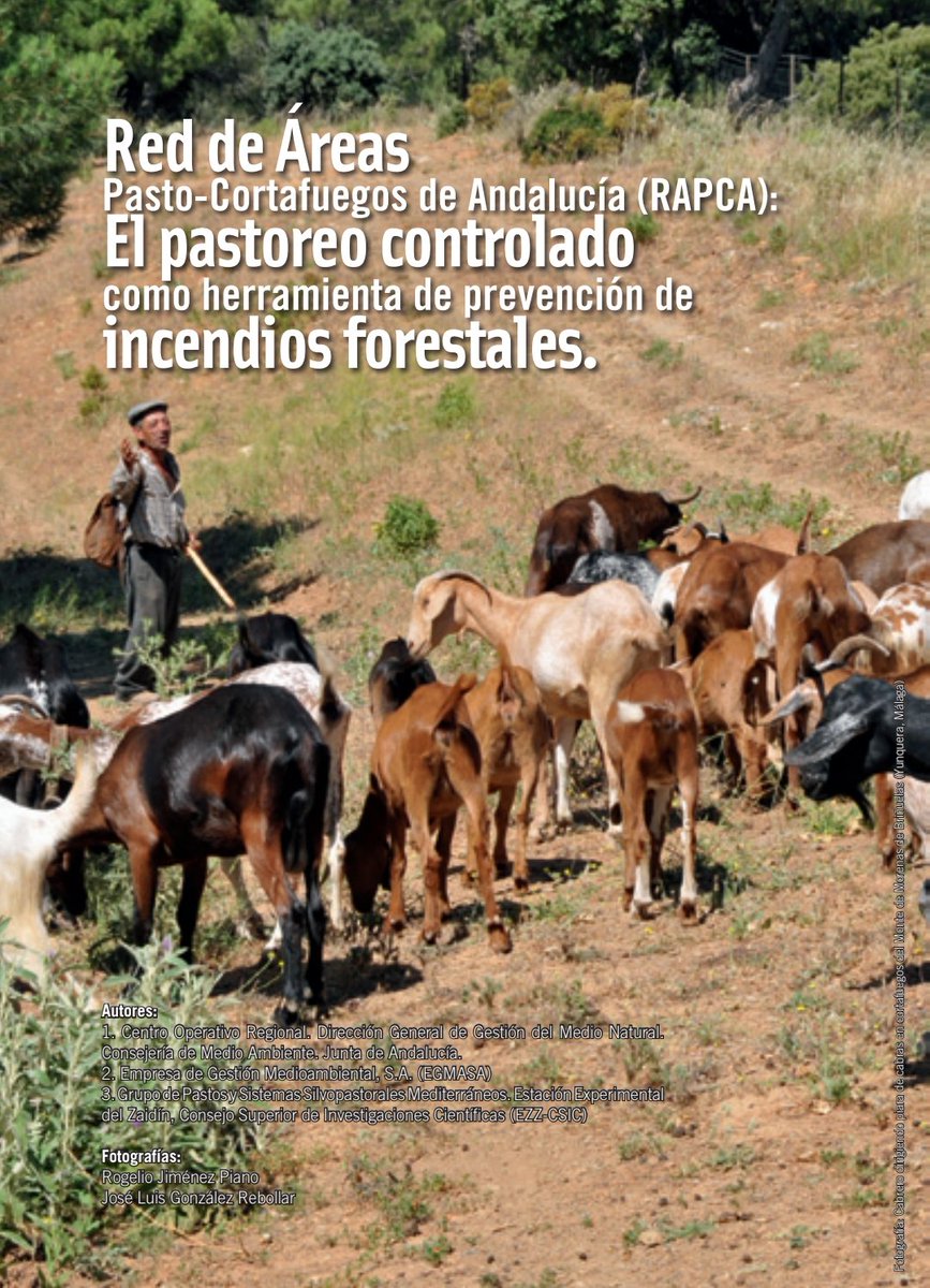 "El silencio de los corderos", por J.L  González Rebollar (o Réquiem por la RAPCA)
…a-4d34-905b-5947560126f6.filesusr.com/ugd/5f6f63_47d…