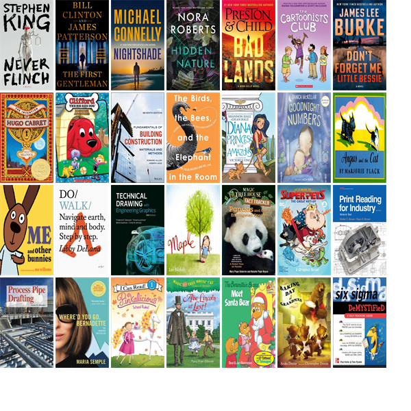 This week the Somerset County Library has 37 new books and one new movie.  New items include Never Flinch, The First Gentleman, Nightshade, Hidden Nature, Badlands, The Cartoonists Club, The Invention of Hugo Cabret, and Clifford. wowbrary.org/nu.aspx?p=6942…