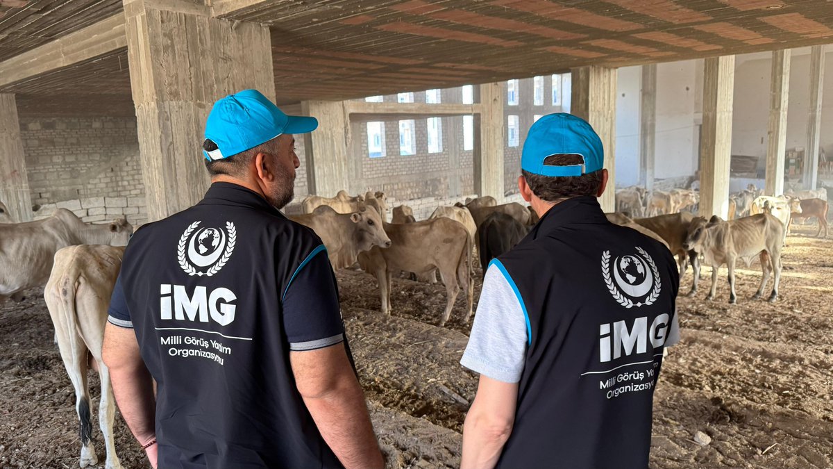 Yemen/Marib Şehrindeyiz kesilecek kurbanları ve kesimhaneleri ziyaret edip son kontrollerimizi yapıyoruz.

#İMG #Kurban #yemen