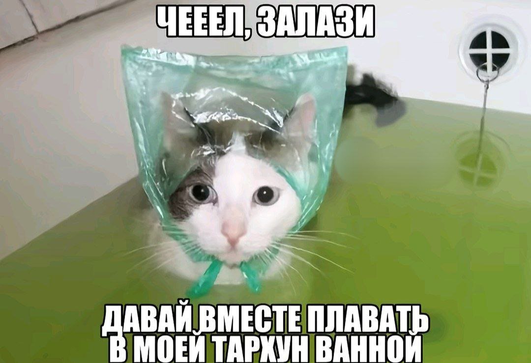 ECO OR DIE!!! (@eccco_ordieee) on Twitter photo 