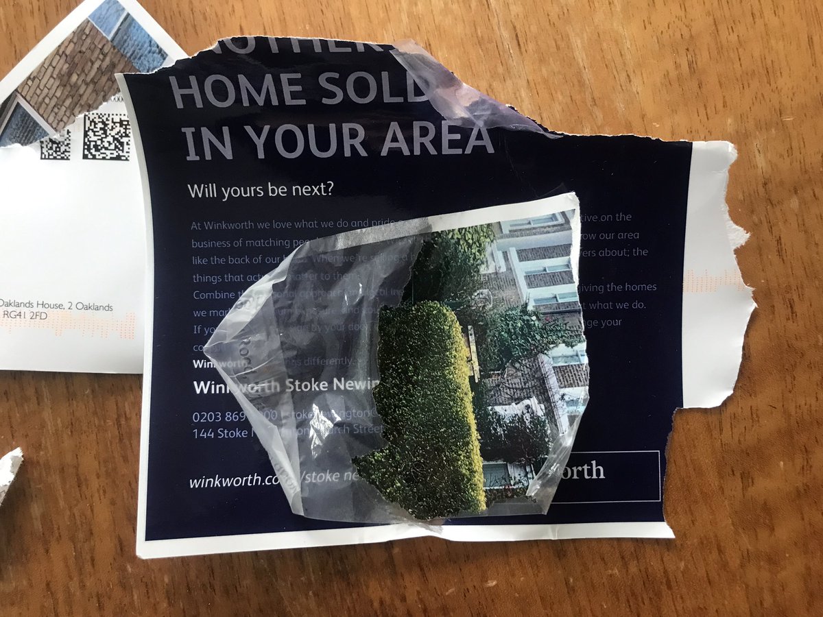 Shared Ground tweet media