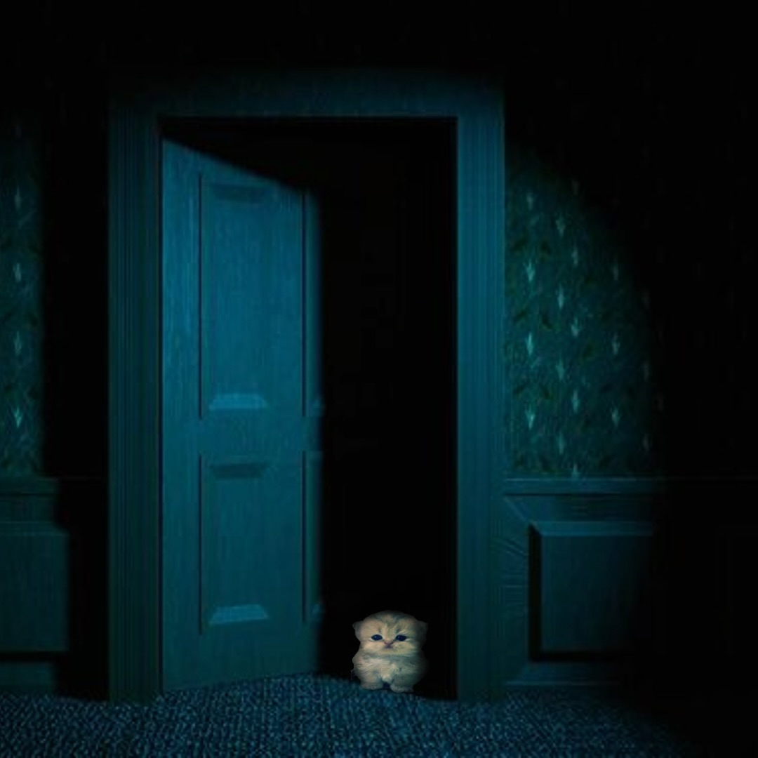 "Can i sleep with you im afraid of the dark"