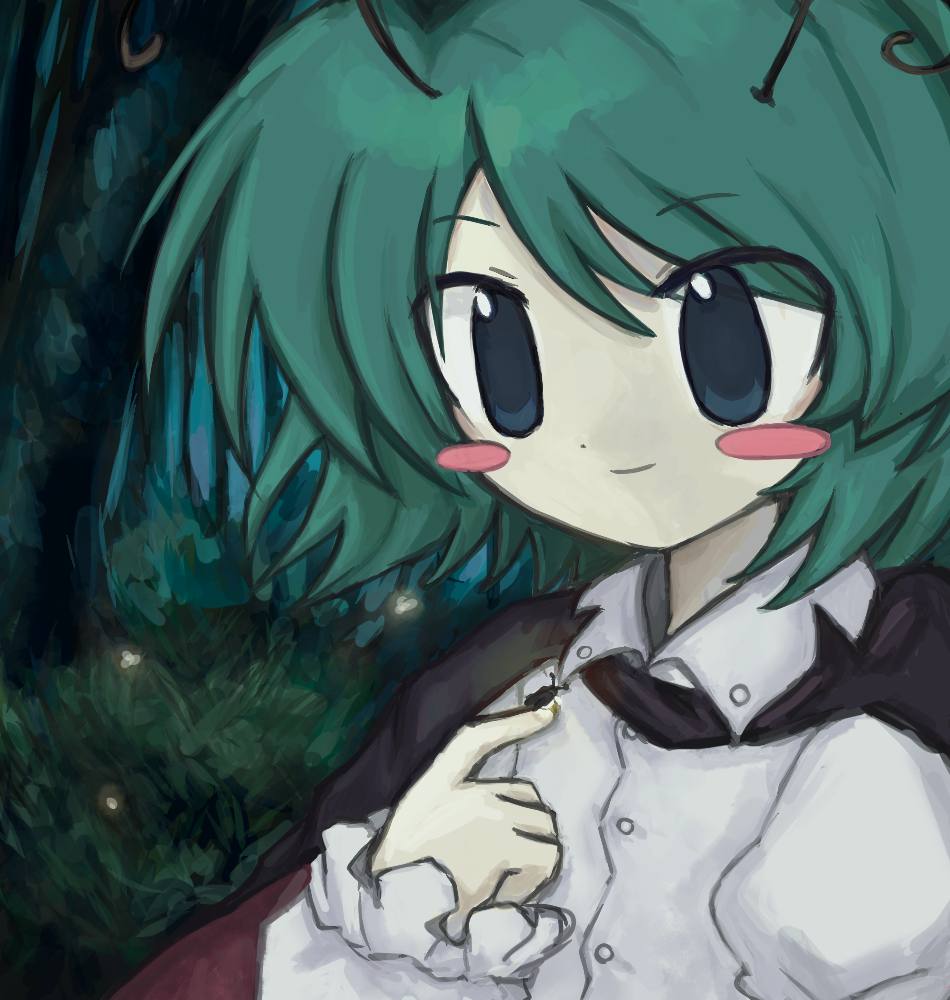 hormuaco's tweet image. #東方Project  #リグル・ナイトバグ