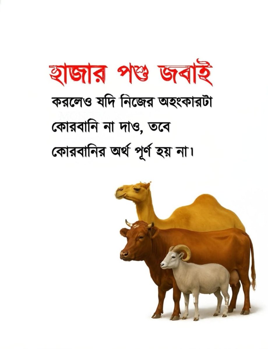 TasmiaTrading's tweet photo. https://t.co/uI16SKwwip