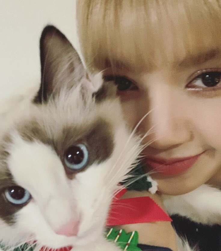 Happy happy 7th Birthday LUCA .... the least favorite son &amp; the most HANDSOME boy 🐱

<a href="/wearelloud/">LLOUD</a> #LISA