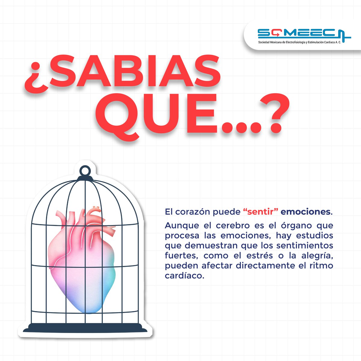 💡 ¿Sabías que el corazón también “siente”?🫀
Aunque el cerebro es quien procesa las emociones, estudios han demostrado que el corazón responde directamente a ellas.
Cuidar tu salud emocional también es cuidar tu salud cardiovascular.
#SabíasQue #SOMEEC #SaludCardiovascular