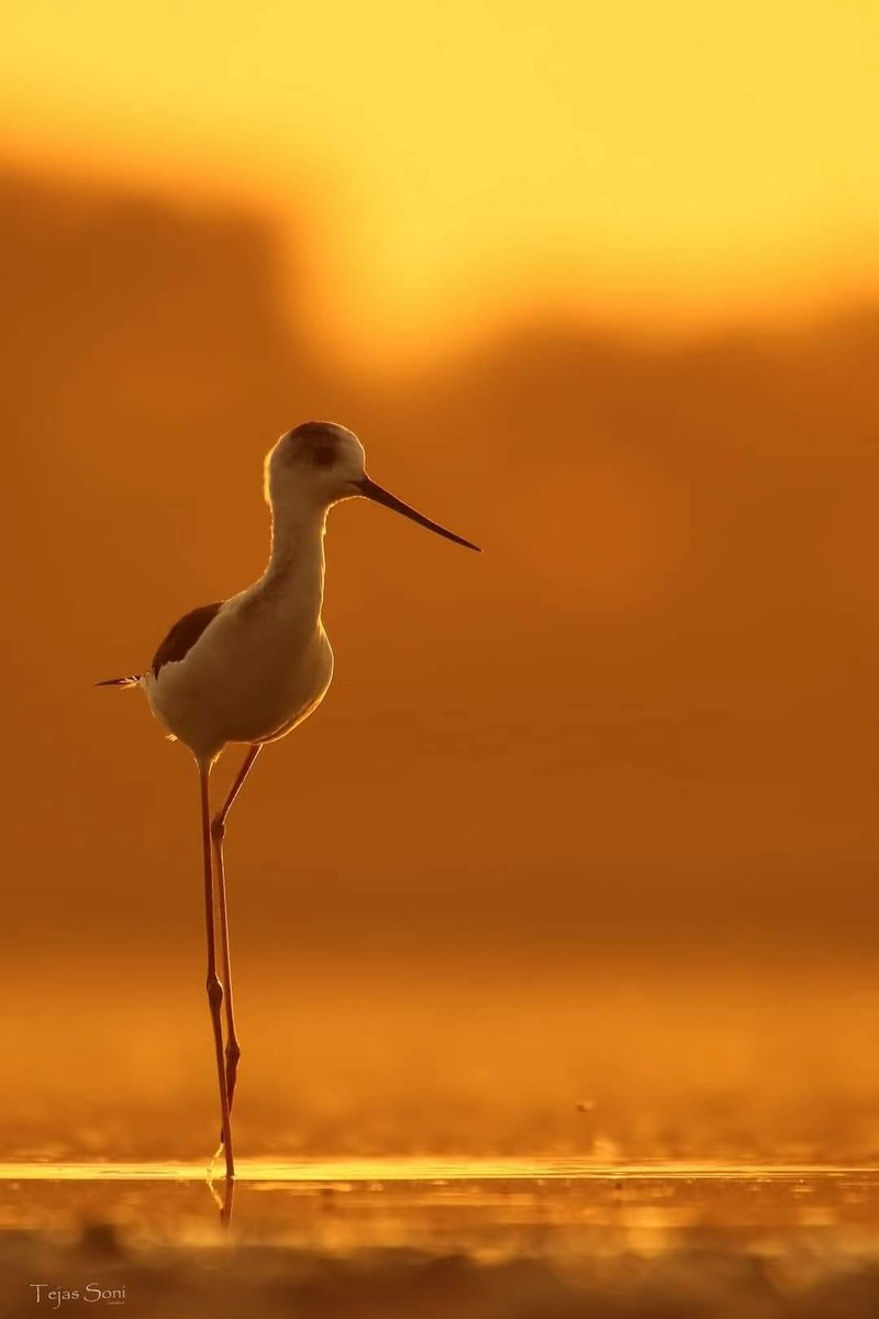 #Infpeace #LeoRespira                         #PremRawat  #Respira                    bit.ly/3Ea8Jgd