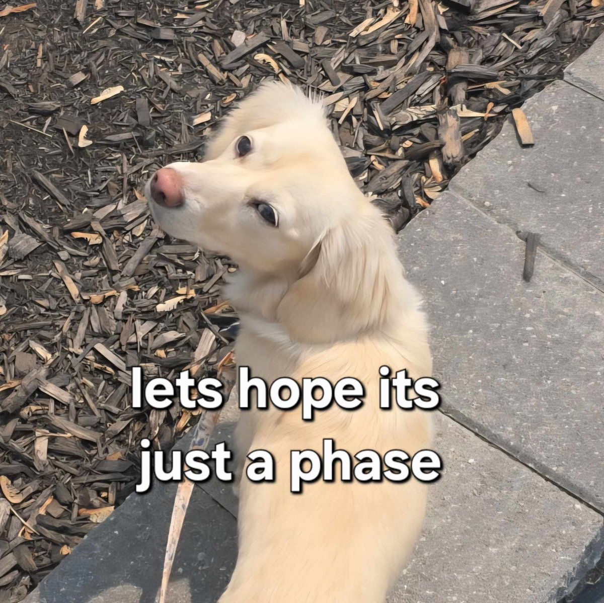 Winry is suspicious!