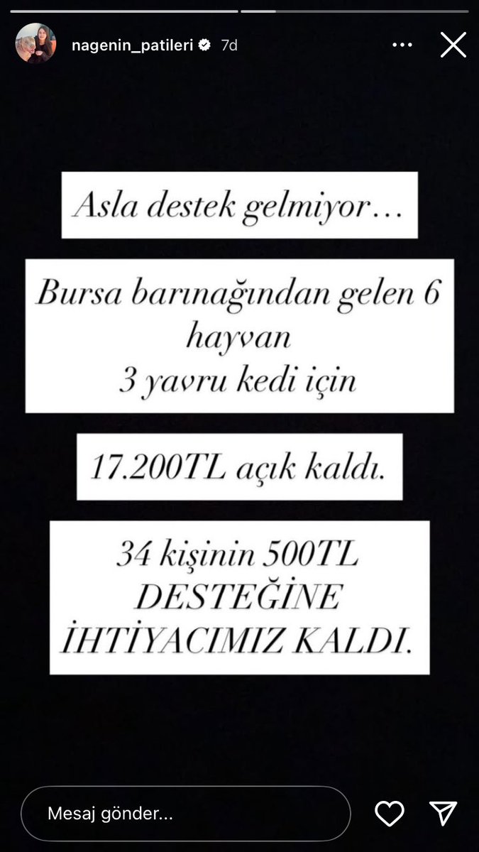Toplam borç 27.900 tlden 17.200 tlye düştü hala desteğe ihtiyaç var destek için instagramdan nagenin_patileri isimli kişiye ulaşabilir misiniz