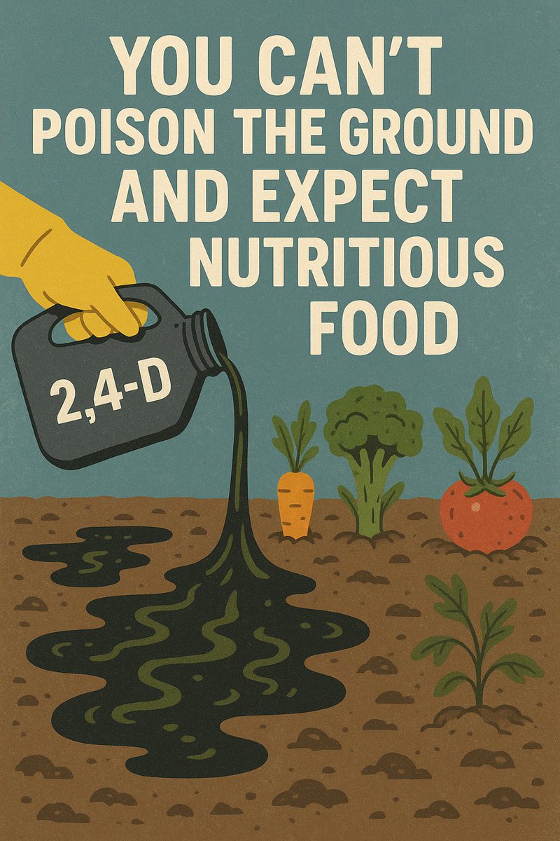 JillianForde's tweet photo. If the soil is poisoned, your food is too.
And if your food is empty, so is your nutrition.
Healthy soil → healthy food → healthy YOU. 🌱 Choose small organic farms https://t.co/69a9VLkkRQ