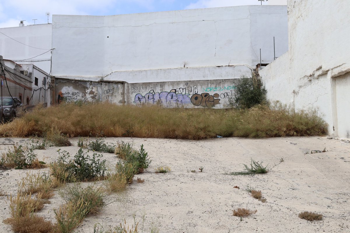 ayto_chiclana's tweet photo. 🏘 @Emsisach adquiere dos parcelas en la calle Bailén para ejecutar 19 viviendas sociales

👉 @josemariaromang visita las parcelas adquiridas por la empresa municipal, que ha invertido un total de 287.307 euros para la compra de las mismas https://t.co/8doZYDXcvq