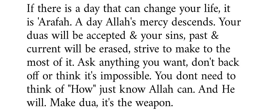 idcyr_'s tweet photo. If Laylatul Qadr is unknown, the day of Arafah is KNOWN. https://t.co/6uPLRosbgU