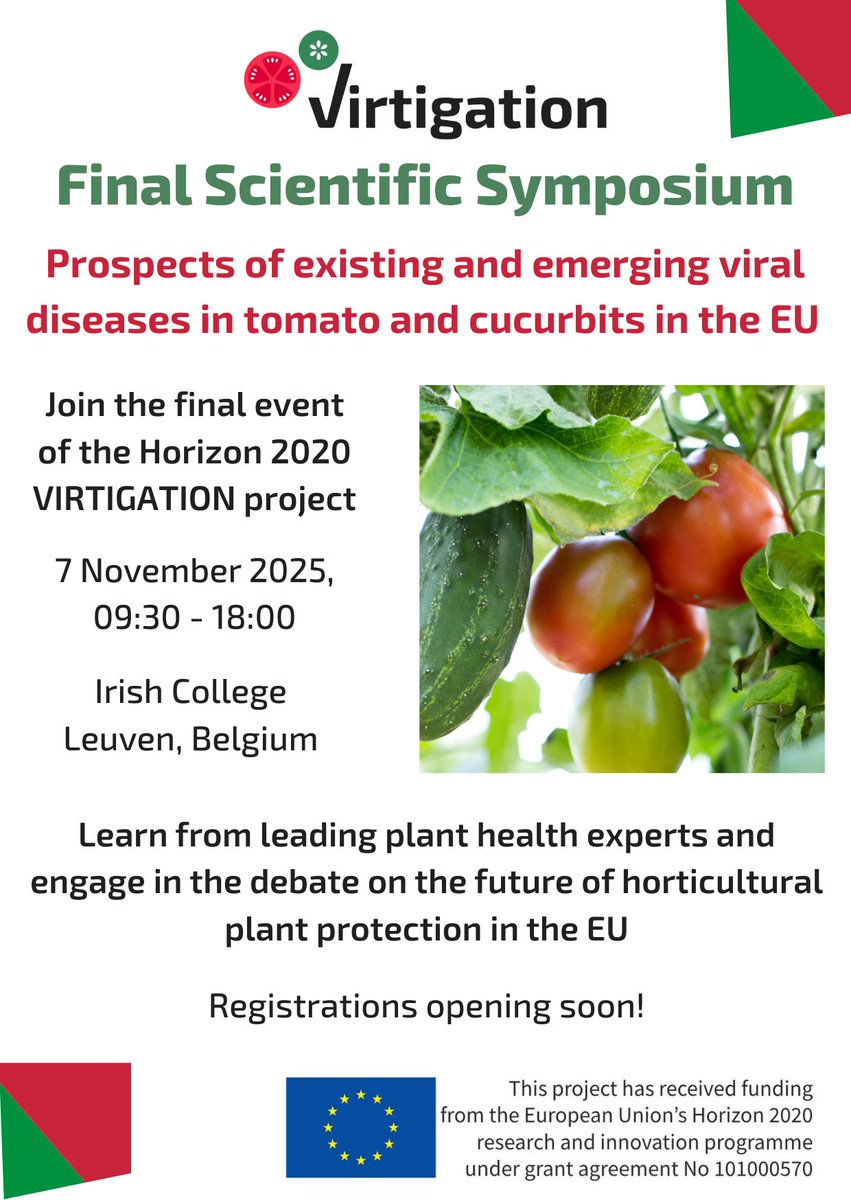Save the Date: The final scientific symposium of the #VIRTIGATION project is taking place on 7 November at <a href="/IrishCollegeLVN/">Irish College Leuven</a> in 🇧🇪! More information on the agenda, key speakers and registration to follow soon on our website - stay tuned! virtigation.eu #H2020 #EUFunded