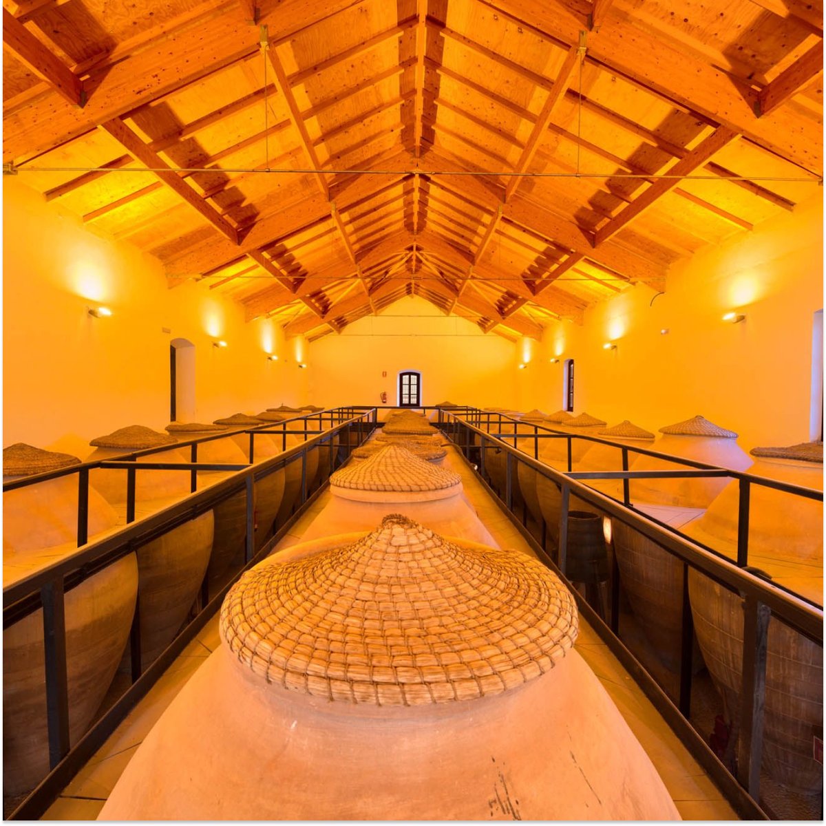 ¡Tenemos nuevo destino! Tren del Vino de Valdepeñas. 🍷🚆

¿Qué tal un viaje en tren para descubrir Valdepeñas? Te enseñamos la historia de esta localidad manchega, así como todos los secretos del vino Valdepeñas.

🗓️ 28 junio.
👉 renfe.com/es/es/experien…