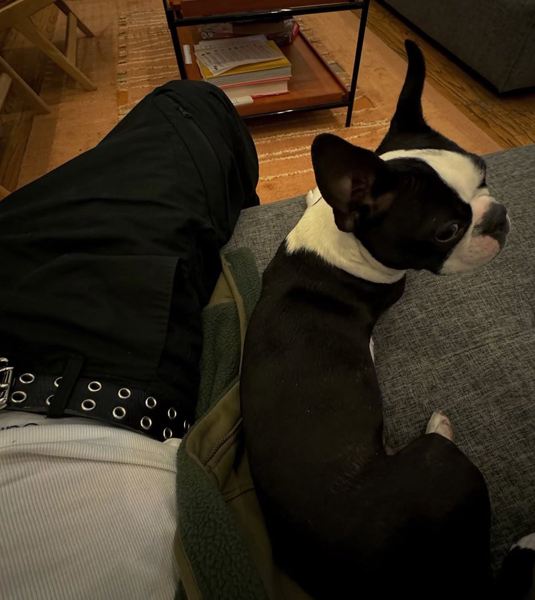 mbleuro's tweet image. meet gucci