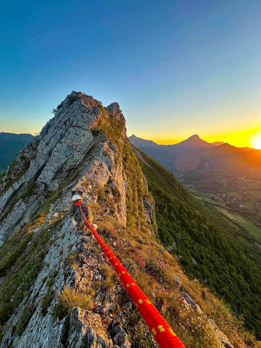 Le type de lever de soleil qu'on ne trouve qu'en Isère 💛🧡💙

📸 @le_sherpa_des_alpes sur Insta

#monisere #isere #destinationchartreuse #chartreuse #massifdelachatreuse #auvergnerhonealpes