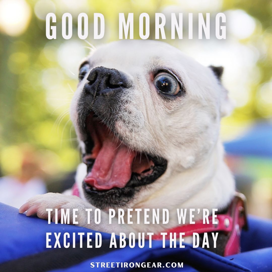 StreetIronGear's tweet image. #StreetIronGear #MorningStruggles #RelatableHumor #HumpDayHumor #CoffeeFirst
