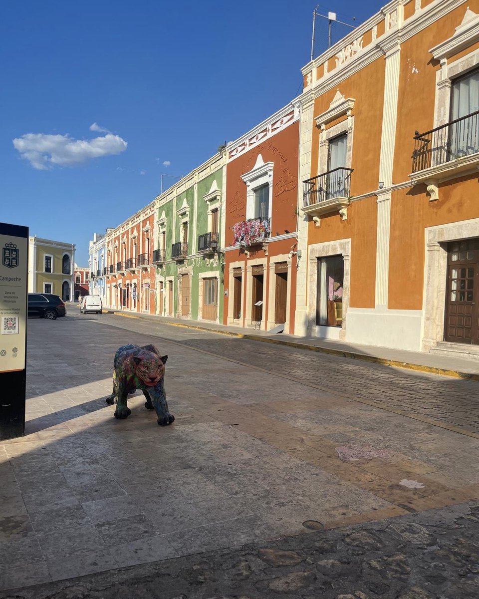 My amazing clients Angela and Mario are currently soaking up the magic of Mexico. 🇲🇽🌴

I planned a 12-day, 11-night adventure covering:
📍 Mexico City
🌄 Sumidero Canyon
🏘️ San Cristóbal de las Casas
💧 Agua Azul Waterfalls
🏛️ Chichén Itzá