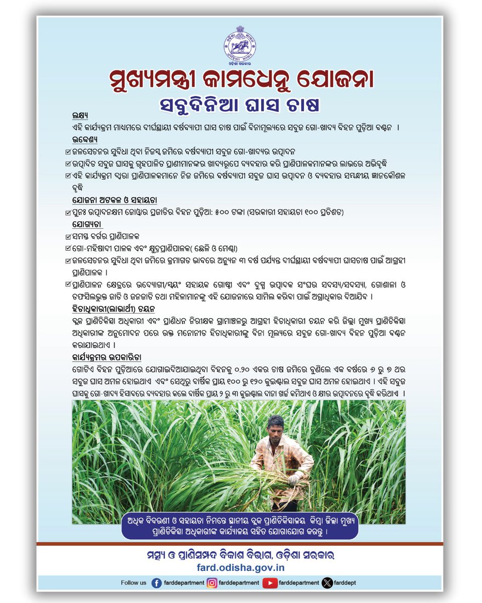 ଗୋଖାଦ୍ୟ ନିମିତ୍ତ ସବୁଦିନିଆ ଘାସ ଚାଷ କରନ୍ତୁ । ଘାସ ଚାଷ ନିମିତ୍ତ ମୁଖ୍ୟମନ୍ତ୍ରୀ କାମଧେନୁ ଯୋଜନାରେ ସହାୟତା ଲାଭ କରନ୍ତୁ।

<a href="/CMO_Odisha/">CMO Odisha</a> <a href="/GokulanandaBJP/">GOKULANANDA MALLICK</a> <a href="/dahvsodisha/">Directorate of AH&VS Odisha</a> <a href="/OMFEDofficial/">Omfed Official</a> <a href="/olrdsahd/">Odisha Livestock Resources Development Society</a> <a href="/VOTIBBSR/">Veterinary Officers Training Institute</a> <a href="/sureshvashishth/">Suresh Kr. Vashishth</a> <a href="/Vijaykulange/">Vijay IAS</a> <a href="/IPR_Odisha/">I & PR Department, Odisha</a>
